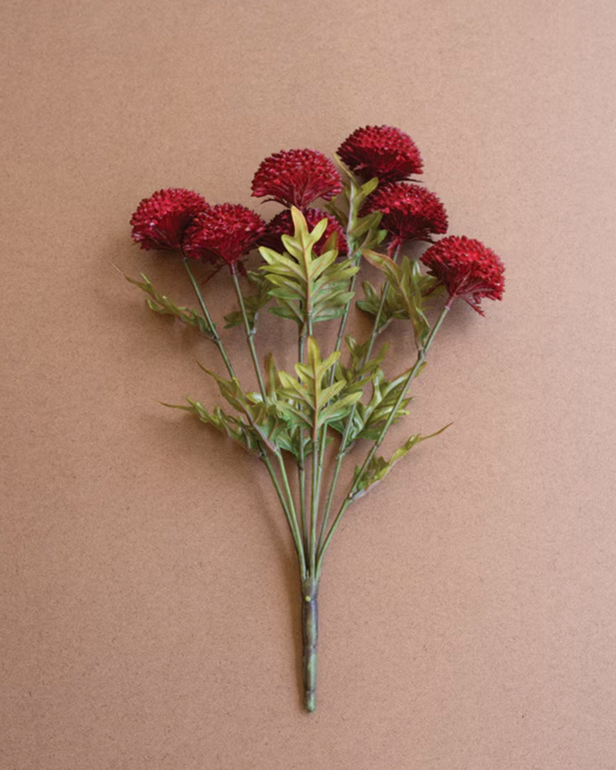 Red dahlias with green leaves on 18-inch stems by Kalalou, set against a plain brown background.