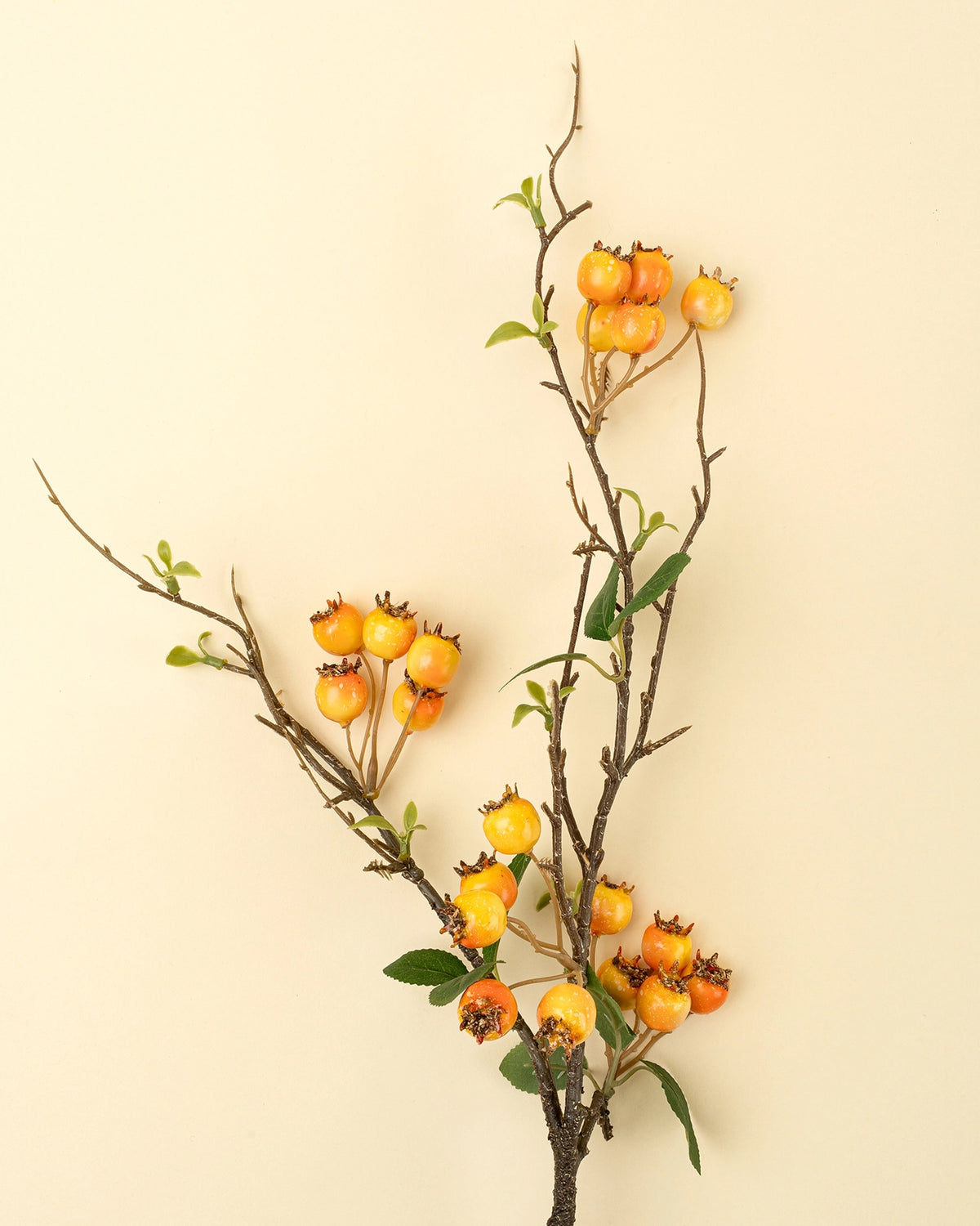 Rosehip branch with orange berries and green leaves, Bungalow Furniture & Accessories, accent decor on beige background.