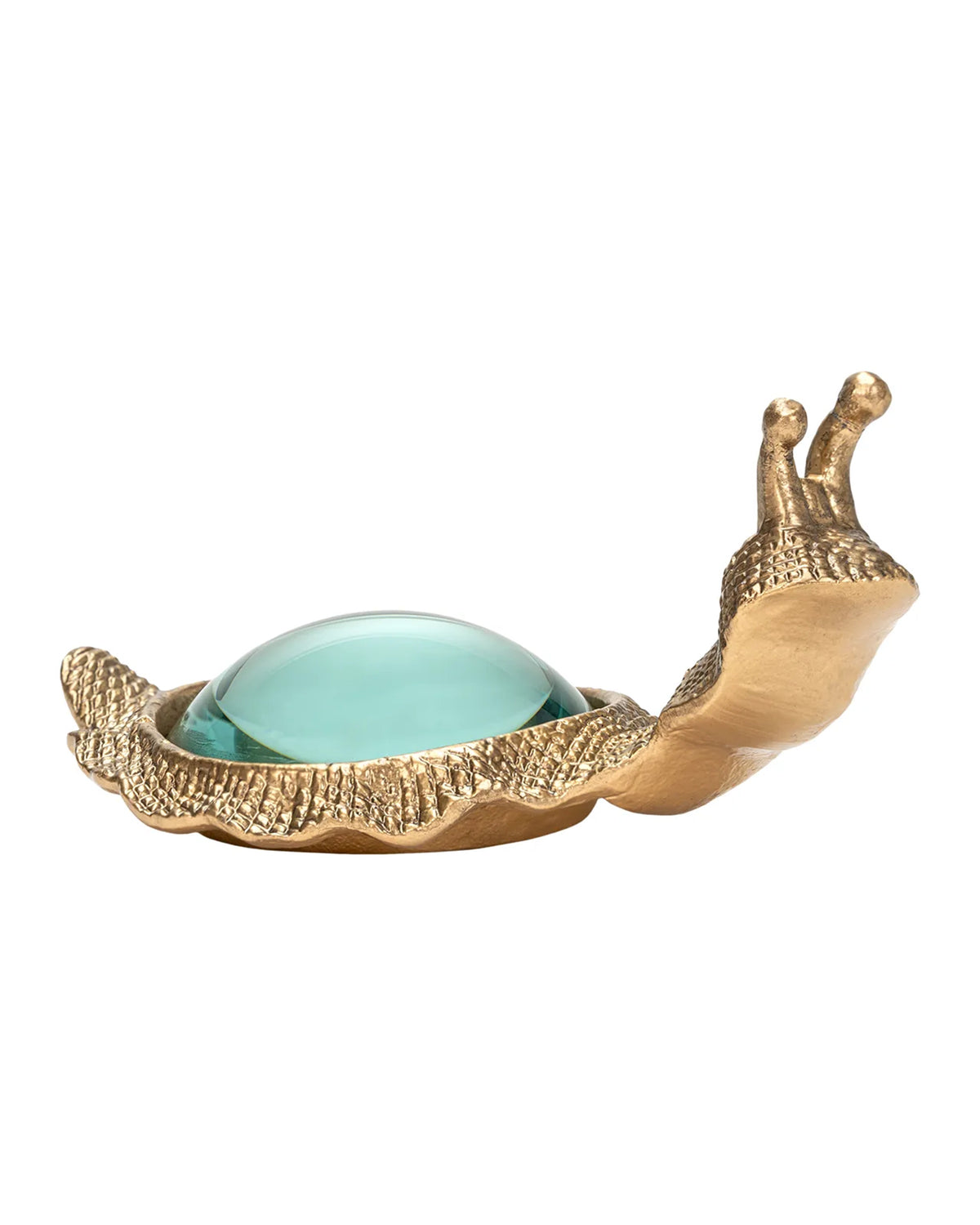 Kasden magnifying glass featuring a gold-toned snail with a glass shell by Bungalow Furniture &amp; Accessories.