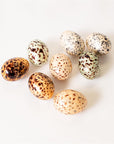 Set of 8 brown and black speckled capiz eggs by Faire, decorative accent for tabletop or spring displays.