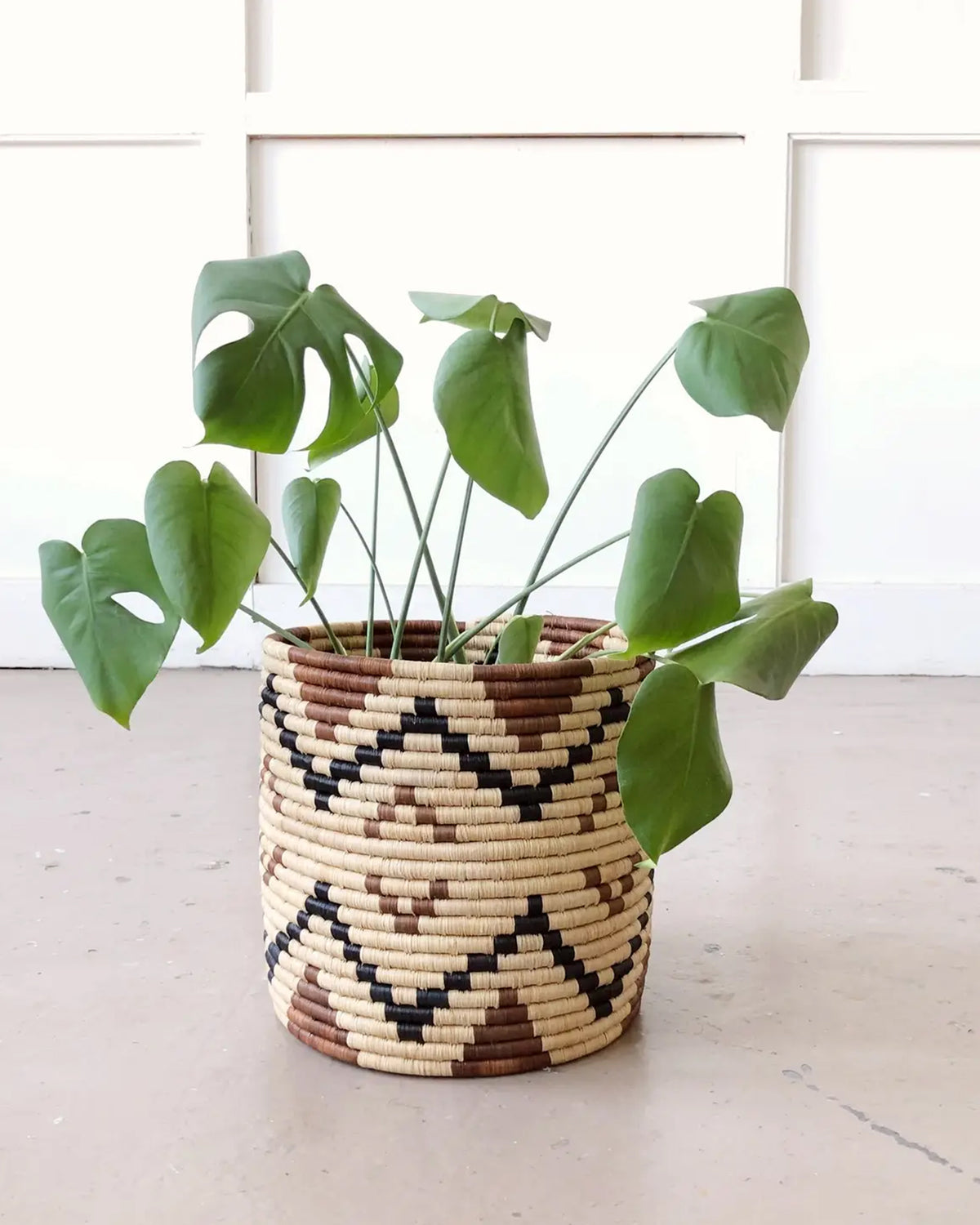 A lush Monstera sits in Faire’s Ruzizi Storage Plant Basket, handmade with beige, brown, and black zigzag patterns, placed on a light floor against a white wall.