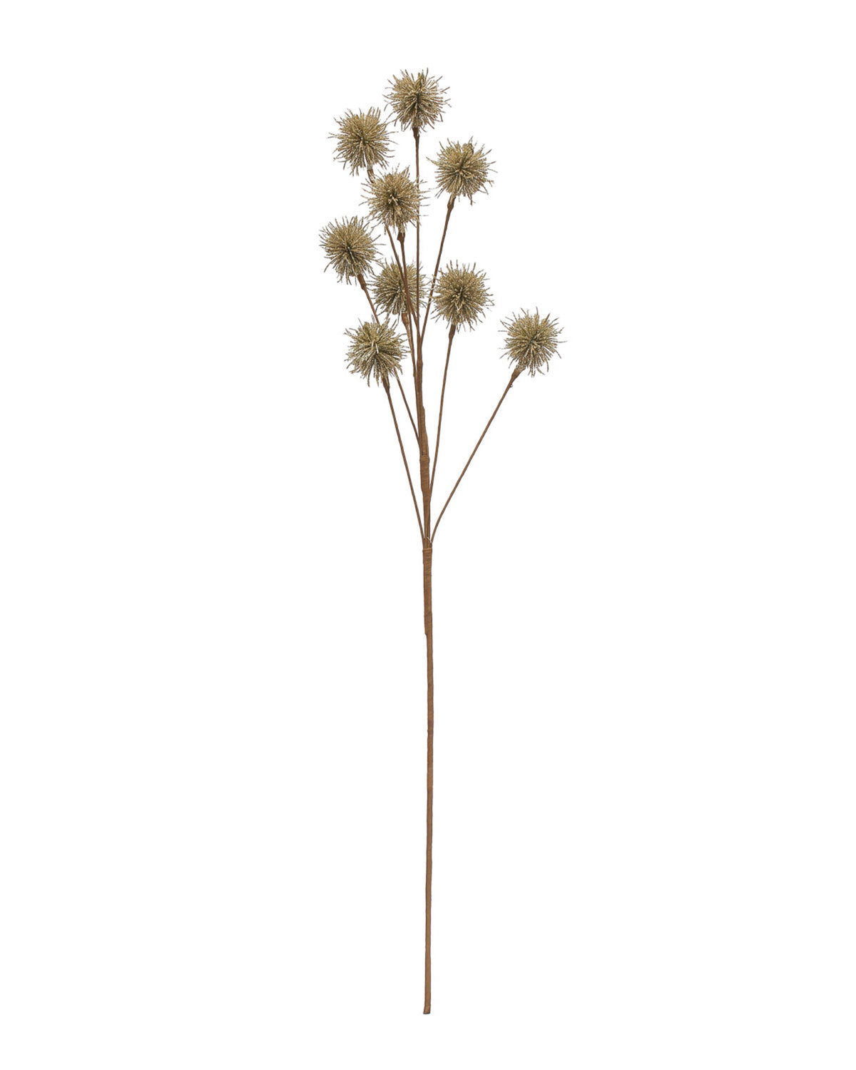28-3/4″ faux thistle spray by Creative Co-op with eight spiky, champagne-colored flower heads on a thin stem.