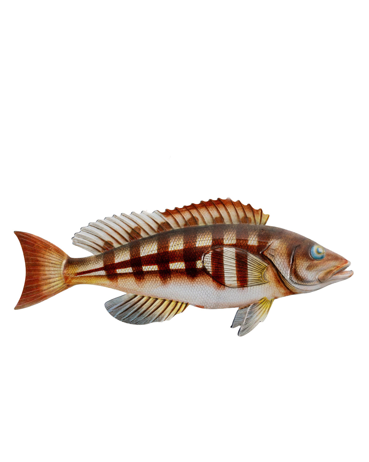 Wood walleye fish decor with brown and white stripes, spiky fins, and twine hanger by Faire.