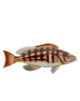 Wood walleye fish decor with brown and white stripes, spiky fins, and twine hanger by Faire.