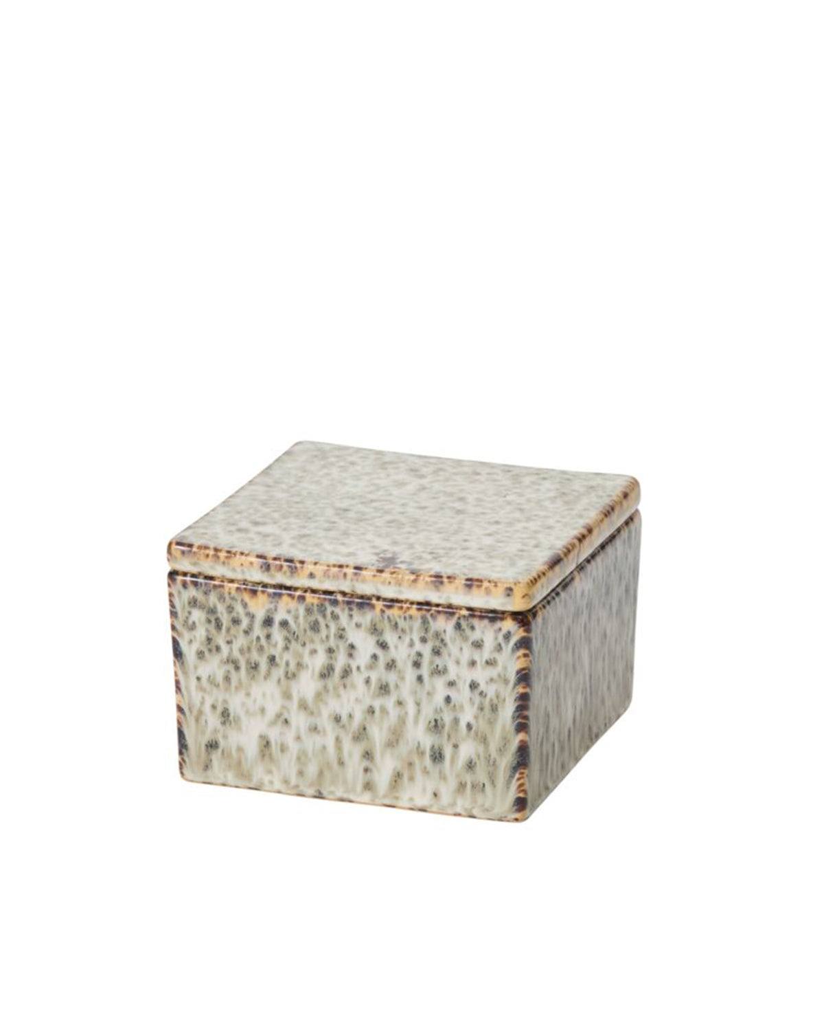 The Whisper Lidded Box by Accent Decor is a rectangular ceramic box with a fitted lid, speckled beige-brown textured glaze, smooth edges, and a slightly glossy finish—ideal for stylish jewelry storage.
