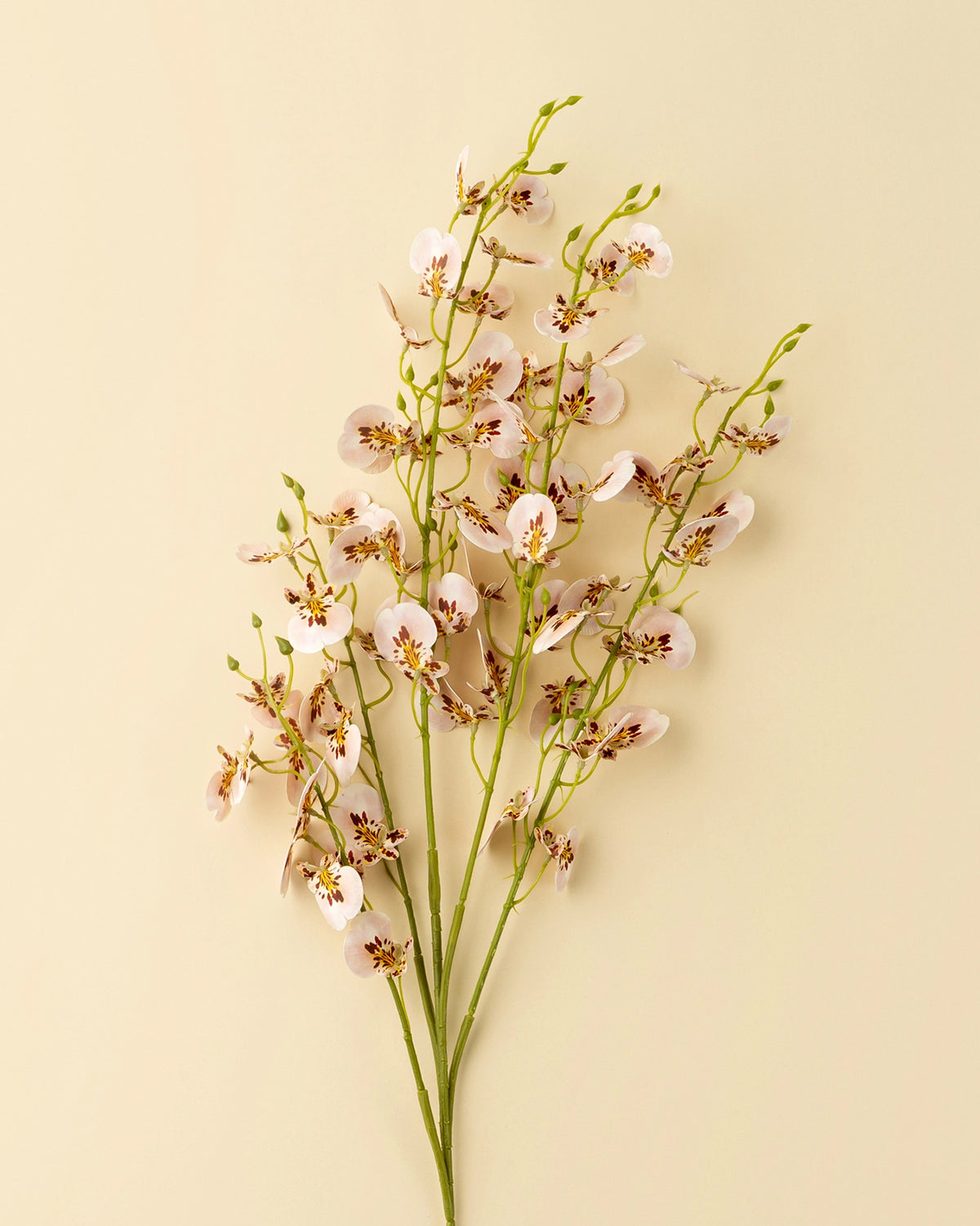Light pink Faire Wild Orchid Spray stems from Bungalow Furniture add a touch of elegance to neutral home decor.