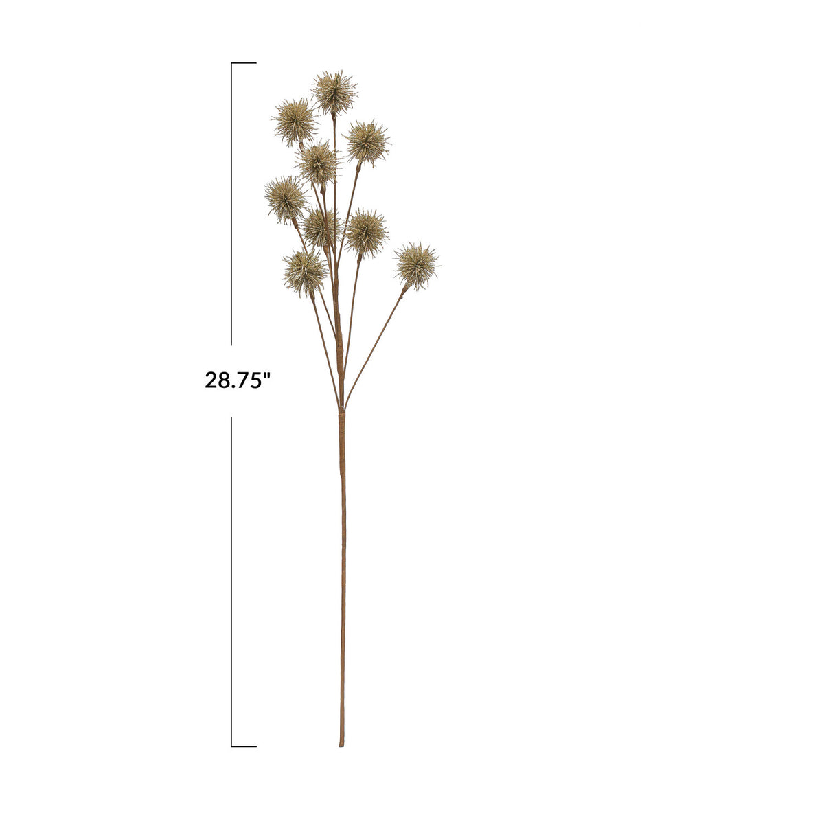 Champagne-colored Creative Co-op Thistle Spray with a single stem and multiple spiky floral heads, 28.75 inches long.