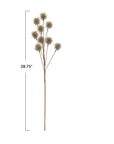 Champagne-colored Creative Co-op Thistle Spray with a single stem and multiple spiky floral heads, 28.75 inches long.