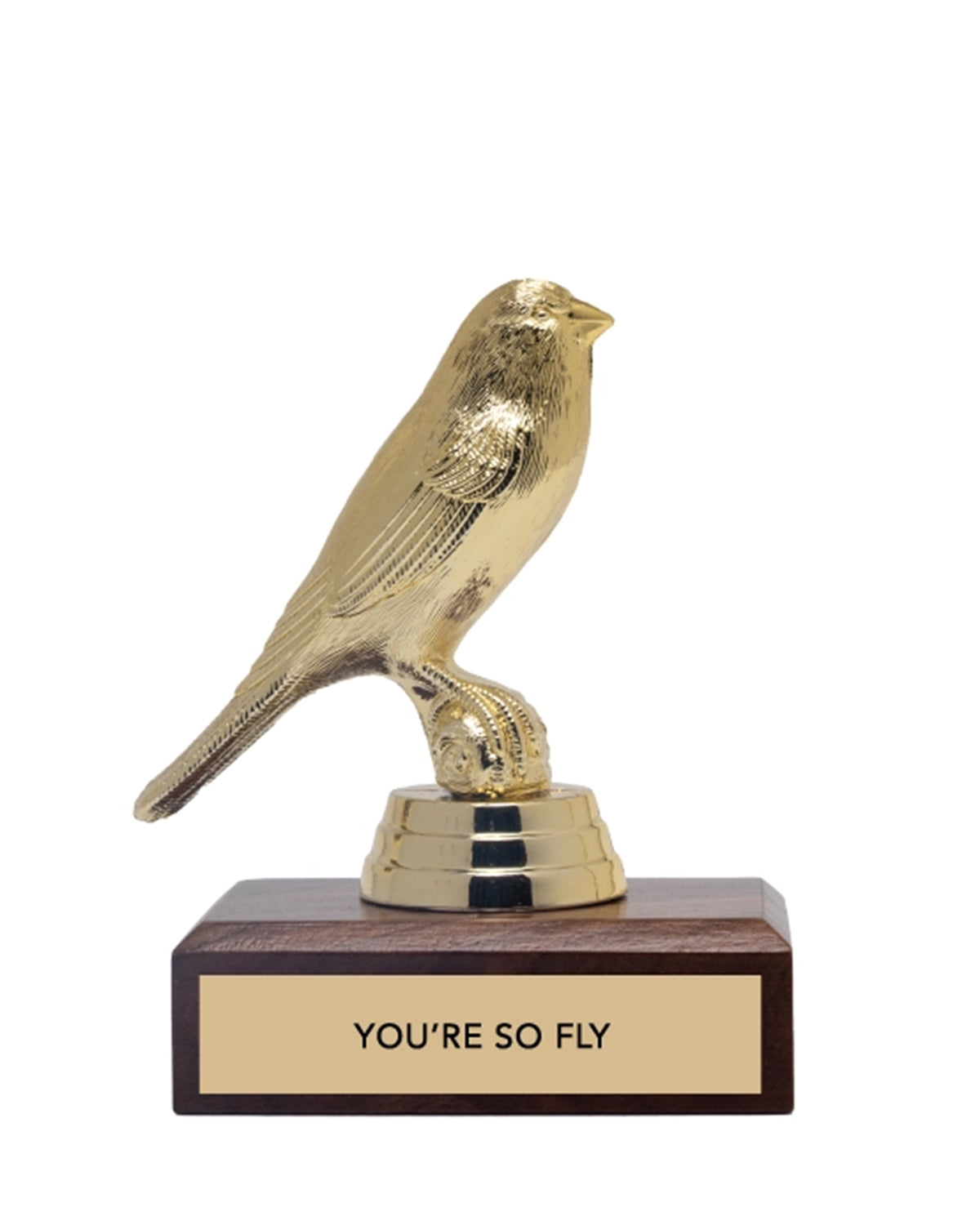 The JE Trophy by Faire features a golden bird on a wooden base with a plaque that says "YOU'RE SO FLY," making it an ideal gift for adults in Winston Salem, North Carolina.
